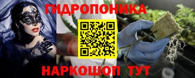 стаф Обь