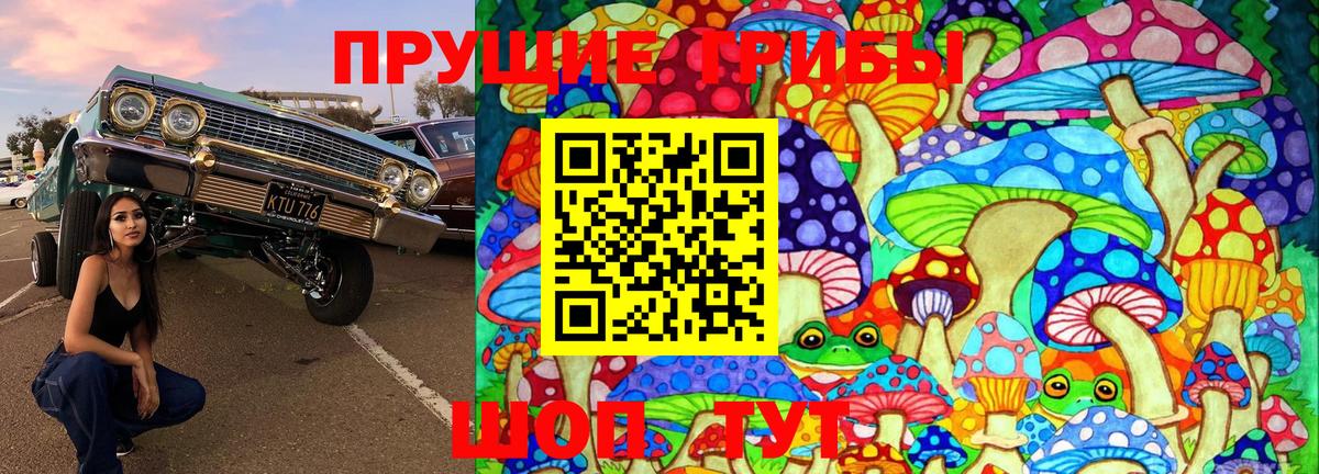 Галлюциногенные грибы Psilocybe  Вход с VPN  Ревда  Галлюциногенные грибы Psilocybe 