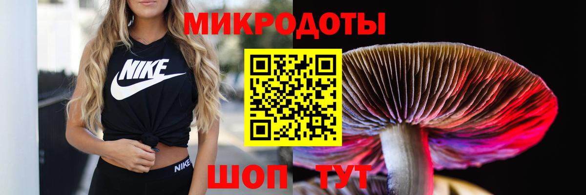Галлюциногенные грибы мухоморы Ревда
